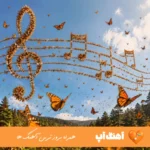 دانلود اهنگ شاد ۱۴۰۵ رقصیدنی ترکی