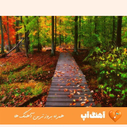 دانلود آهنگ من از این شهر شلوغ از این شهر پر دروغ به کجا سفر کنم با صدای زن