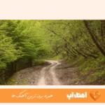 دانلود آهنگ انگار همه چی خوابه چرا گفته بودم تو ماهه چشات تی ام ریمیکس